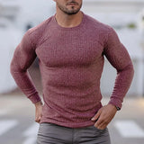 Aidase Men Breathable Knitted Sports Long Sleeved Slim Fit Running T-shirt Autumn Casual Training Bodybuilding Tees aidase-shop