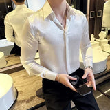 Aidase New Men's High Quality Stage Long-Sleeved Shirt, Men's Slim Fit Business Casual Shirt, Luxury Men Clothing M-4XL aidase-shop