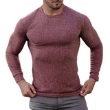 Aidase Men Breathable Knitted Sports Long Sleeved Slim Fit Running T-shirt Autumn Casual Training Bodybuilding Tees aidase-shop