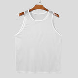 Aidase Sexy Mesh See Through Tank Tops Men Sleeveless O Neck Breathable Fashion Vest Men 2024 Summer Fashion Solid Color Mesh Camisole aidase-shop