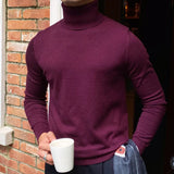 Aidase Burgundy British Turtleneck Woolen Sweater Men's High Quality Knitted Long Sleeve Herren Pullover Winter Knitted Sweater aidase-shop