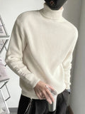 Aidase Man Clothes High Collar Knitted Sweaters for Men Pullovers Turtleneck White Letter Sale New in Best Selling Products 2024 Warm aidase-shop