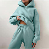 Women's Tracksuit Casual Solid Long Sleeve Hooded Sport Suits Autumn Warm Hoodie Sweatshirts and Long Pant Fleece Two Piece Sets aidase-shop