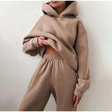 Women's Tracksuit Casual Solid Long Sleeve Hooded Sport Suits Autumn Warm Hoodie Sweatshirts and Long Pant Fleece Two Piece Sets aidase-shop