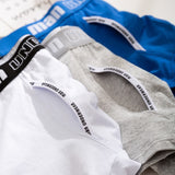 Boxer Mens Underwear Men Cotton Underpants Male Pure Men Panties Shorts Underwear Boxer Shorts Solid Cuecas 365 Calzoncillos aidase-shop