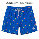 Mens Swim Shorts Beach Board Shorts Summer Running Surfing Shorts 2022 New Mens Swimwear Swimsuits Quick Dry Swim Trunks aidase-shop