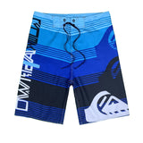 Summer Board Shorts Men Quick Dry Swimming Trunks Swimwear bañadores hombre Bermuda Vacation Surf Beach Short Pants Casual Male aidase-shop