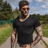 Gym Polo Shirt Men Fashion Turn Neck Short Sleeve Knitted Polos Sports Slim Fit Fitness Bodybuilding Workout Summer Clothing aidase-shop